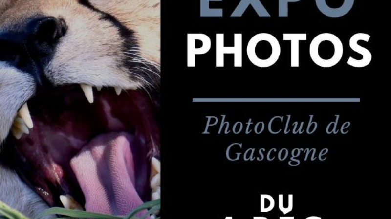 Exposition de portaits d'animaux