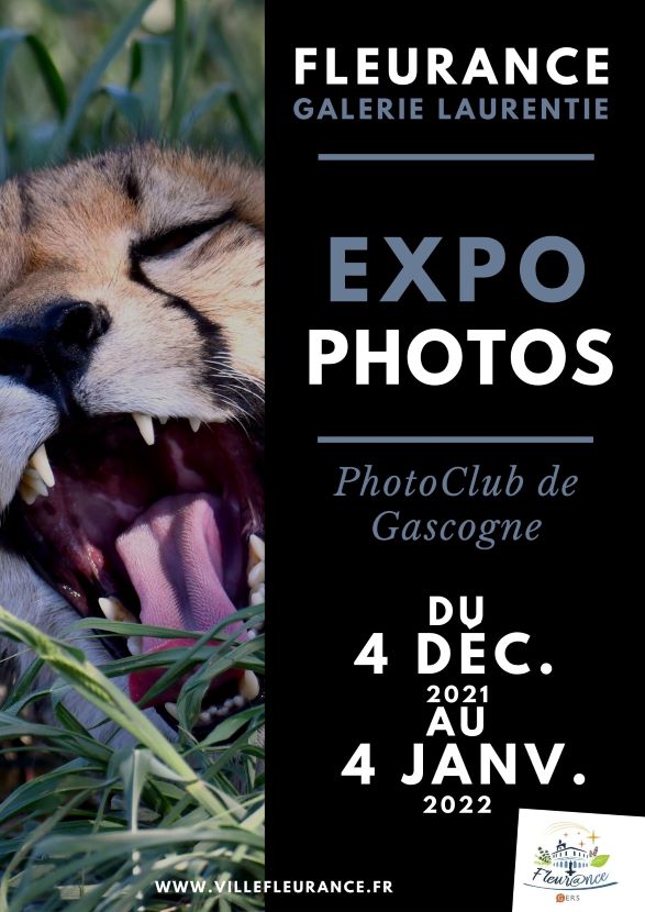 expo photoclub4-12au4-015.jpg