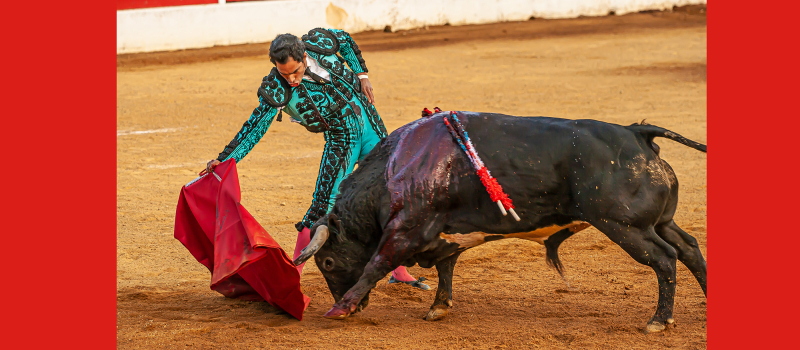 Aignan y toros : des retrouvailles pour l'assemblée générale