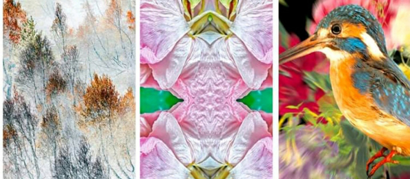 «Mater Natura» à l’atelier Assalit -