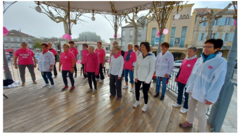 Octobre rose vicois 2021 : un magnifique résultat !