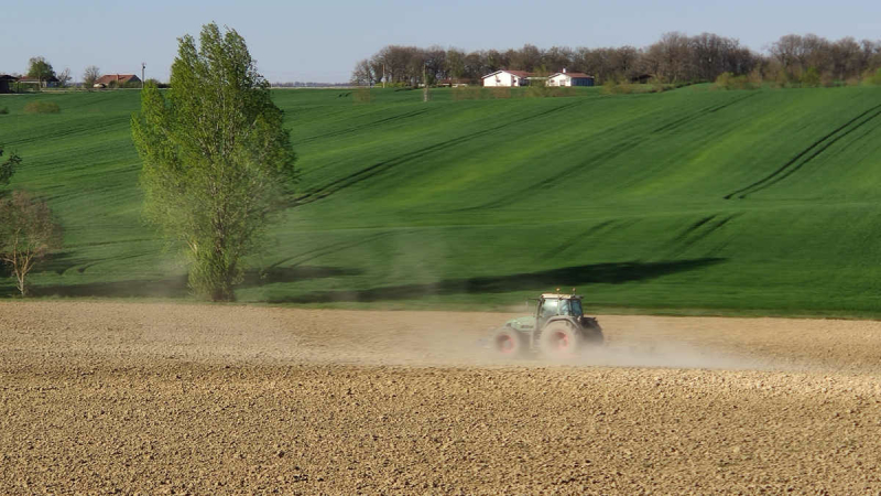 Des questions sur la transmission d'entreprise agricole
