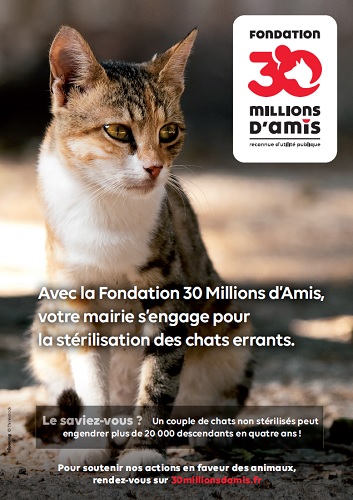 chats-4bf08.jpg