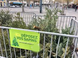 sapins