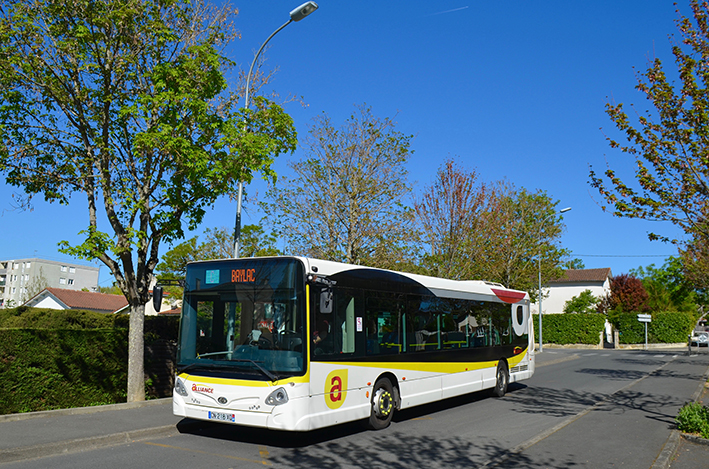 bus Alliance 2_.jpg