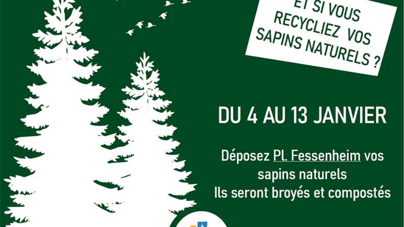Environnement recyclez vos sapins