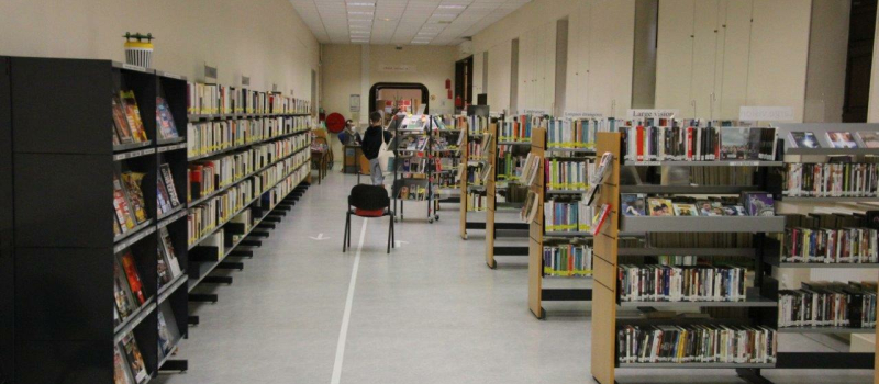 Le plaisir de lire et de partager : l'amour des livres et les livres sur l’amour