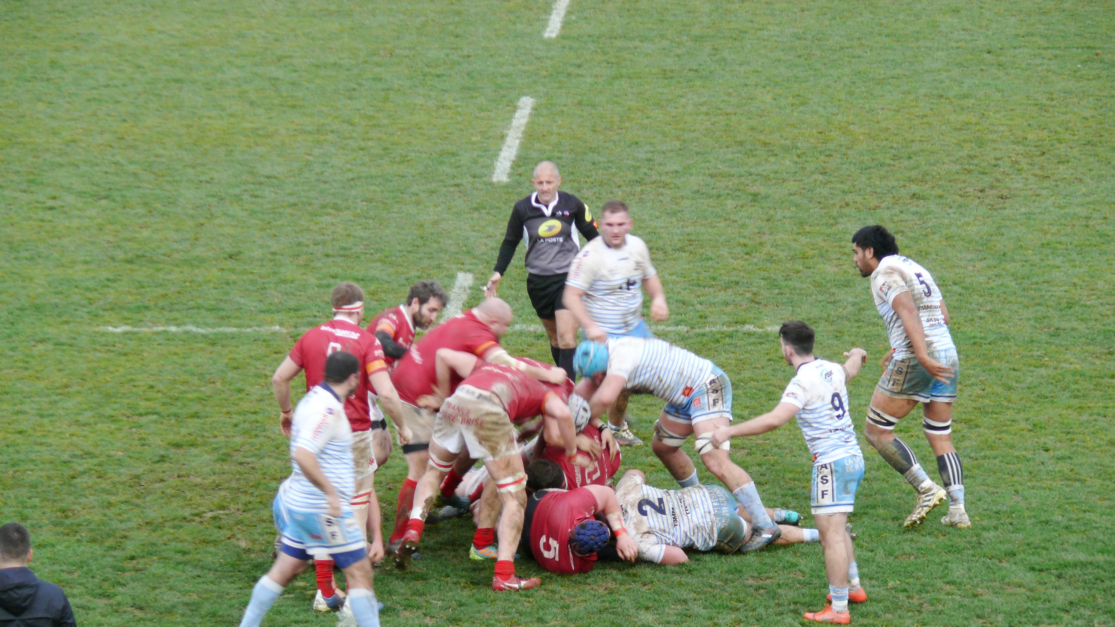 P1750286.JPG