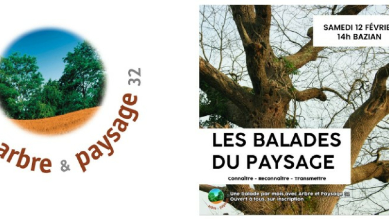 Une balade-découverte organisée par Arbre et Paysage 32 à Bazian