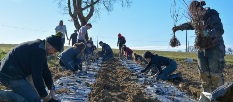 2 km de haies plantées par les étudiants en BTS GPN du Campus La Salle St Christophe