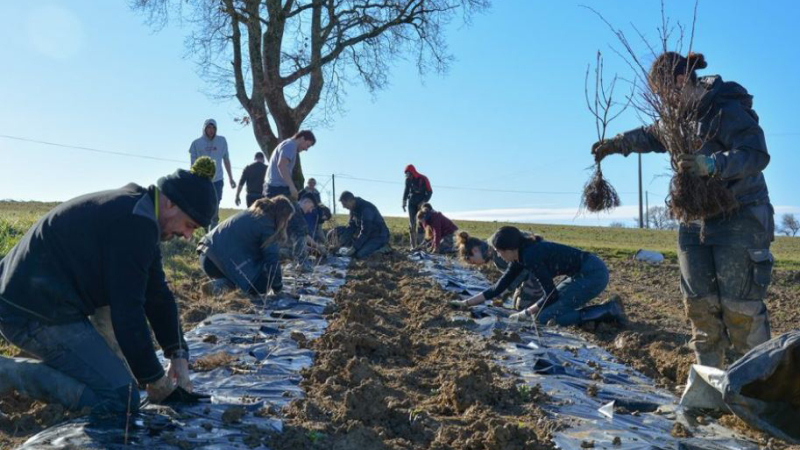2 km de haies plantées par les étudiants en BTS GPN du Campus La Salle St Christophe