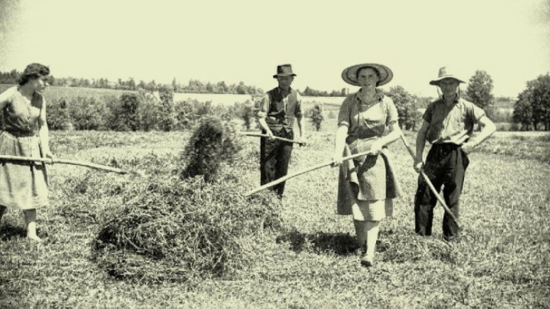 Mais où sont passées les valeurs humaines d’antan ?