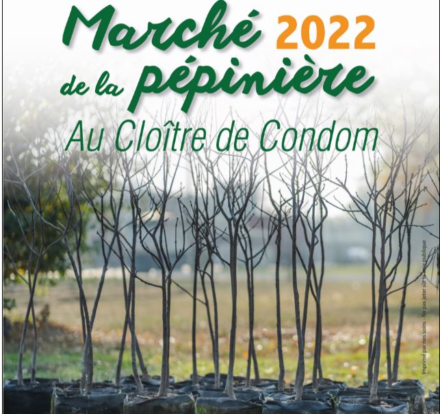 peponiere condom.JPG