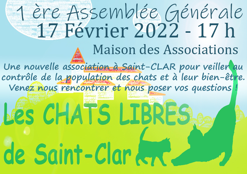 Photo asso Les chats libres.jpg