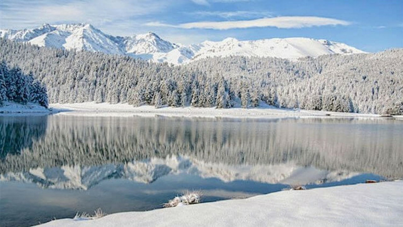 Lou Quarantapes vont en  montagne