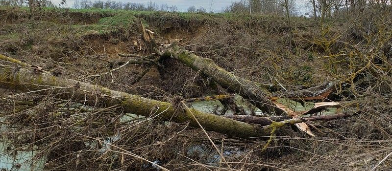 Travaux d'entretien de la rivière Gers et gestion des embâcles