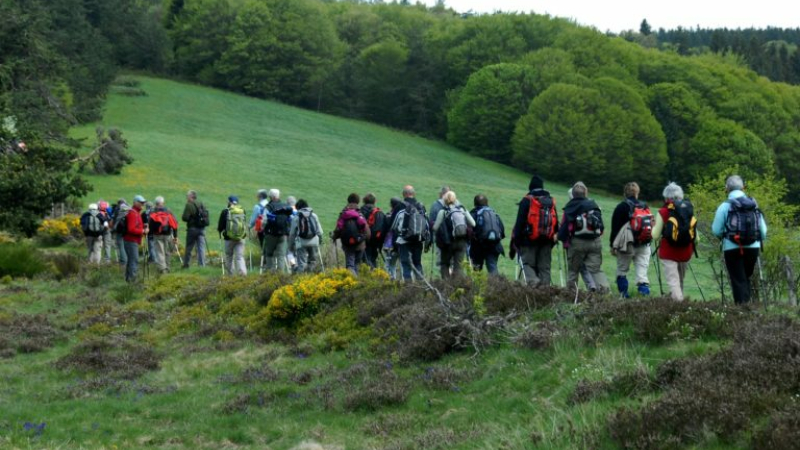 Une marche pour une bonne cause