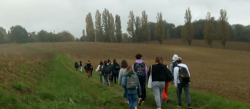 Participez à l'enquête sur les chemins de Saint-Jacques