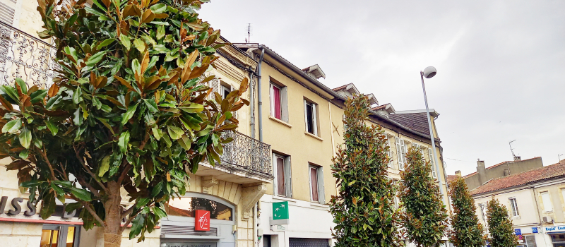 Les magnolias sont arrivés et plantés