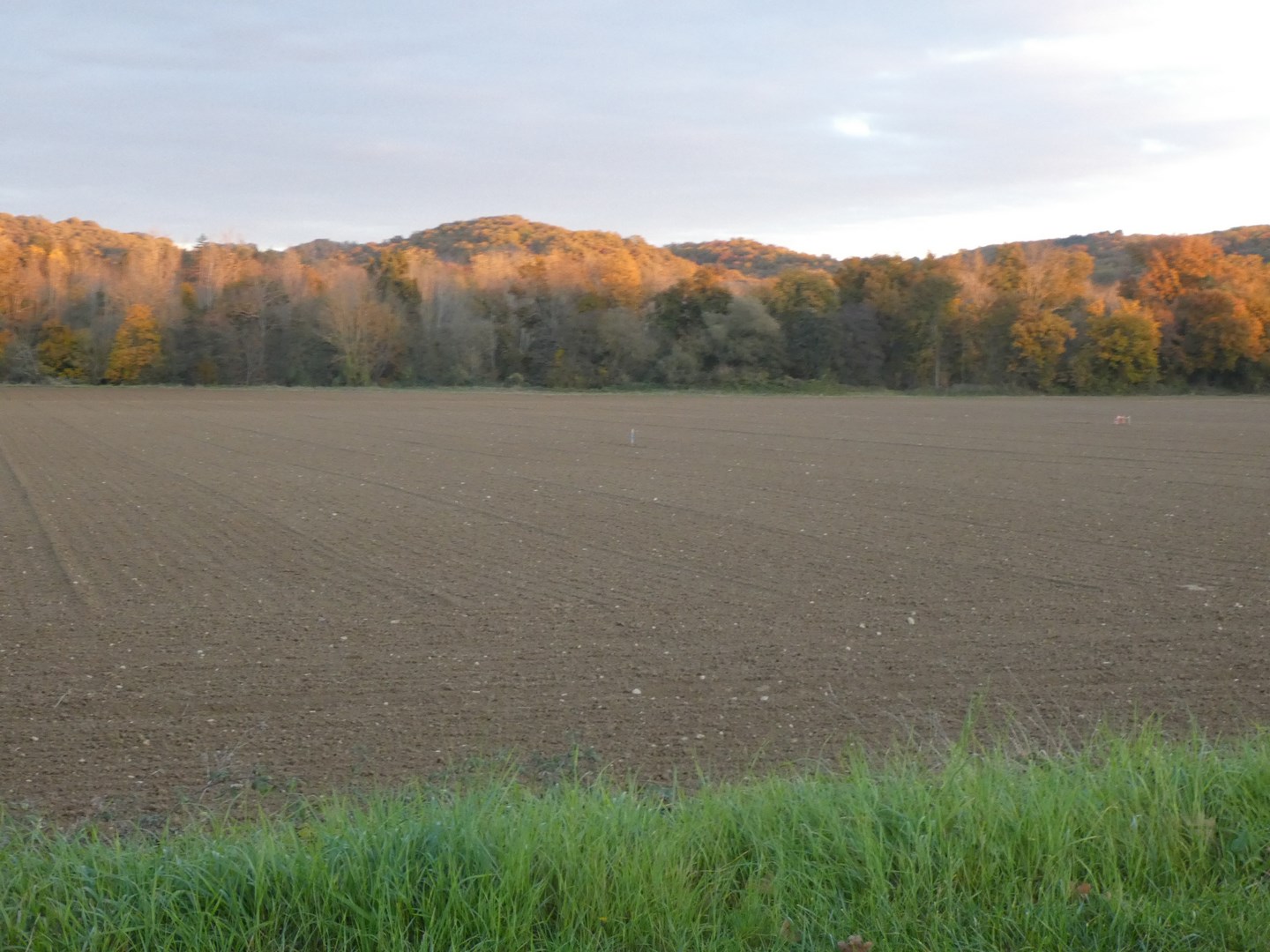 Des terres agricoles vont disparaître pour laisser la place au centre de tri!