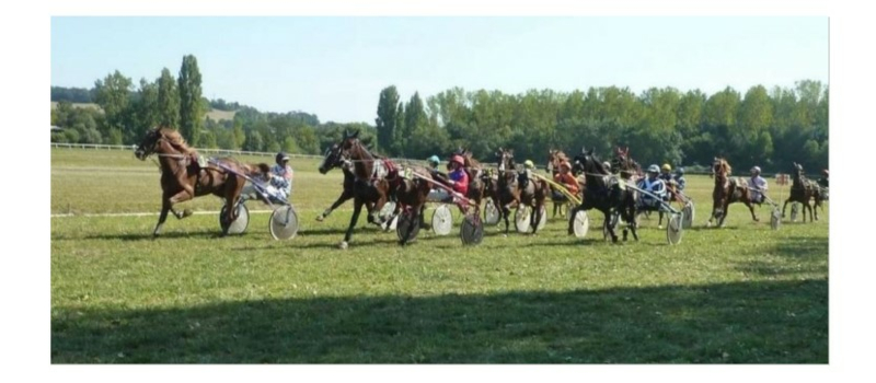 Le public toujours au rendez-vous des courses hippiques
