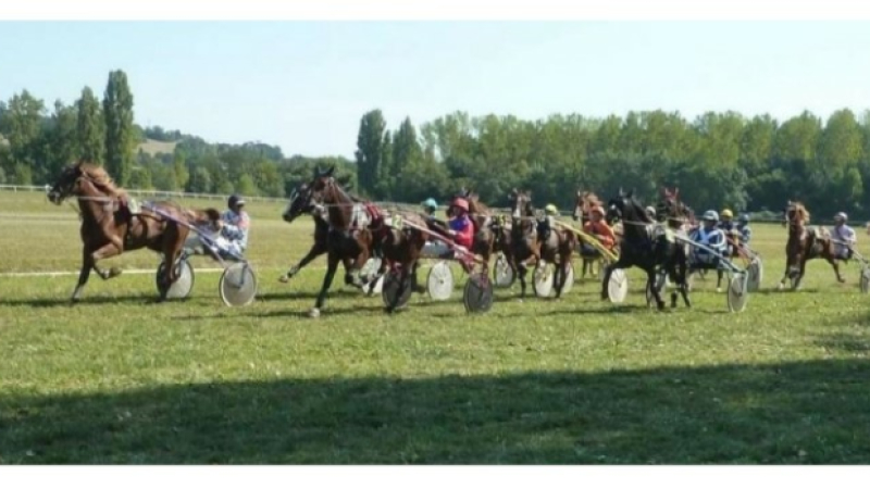 Le public toujours au rendez-vous des courses hippiques