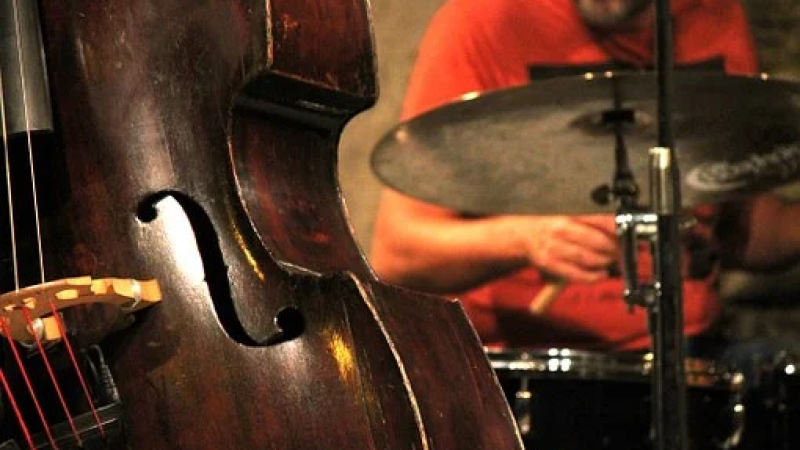 Samedi 19 mars, concert avec « Le Tigre des platanes »