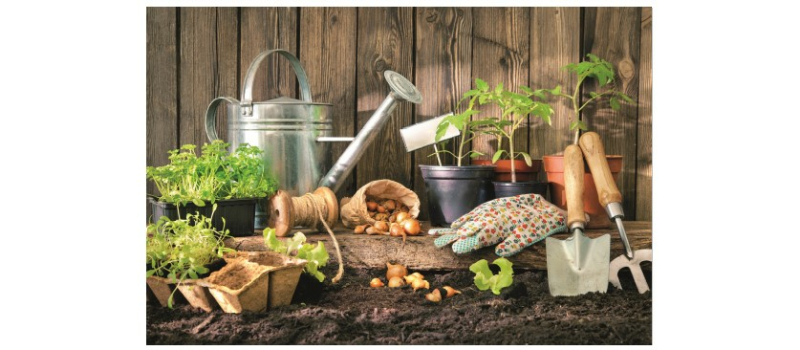 "Partage ton jardin" le samedi 2 avril au jardin des remparts à Condom