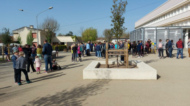 Belle participation pour la marche en faveur de l'Ukraine