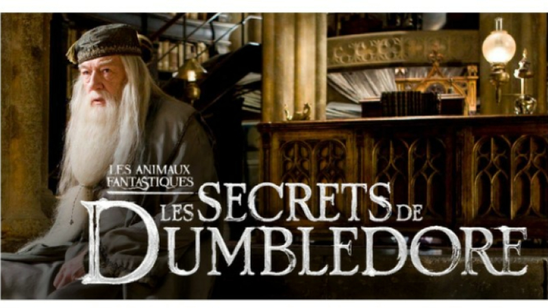 De l'aventure en avant-première dimanche au cinéma avec "Les animaux fantastiques : les secrets de Dumbledore"