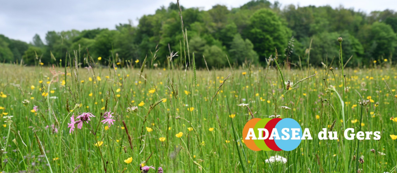 Ouverture des candidatures au concours  des pratiques agro-écologiques 2022