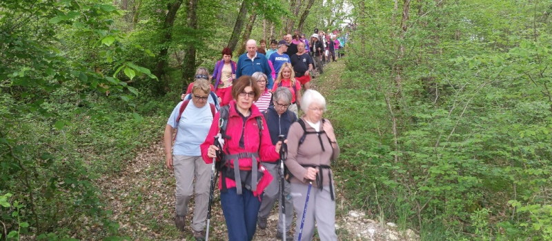 Rando de l'Aubépine le samedi 30 avril