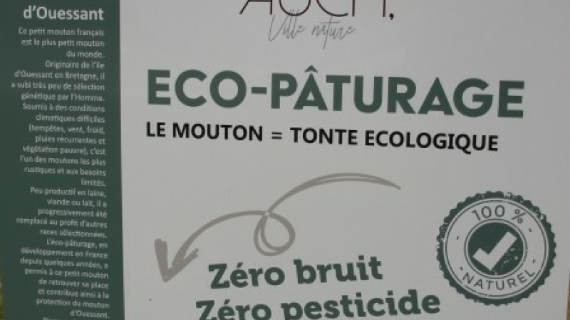 De l’éco-pâturage à Auch!