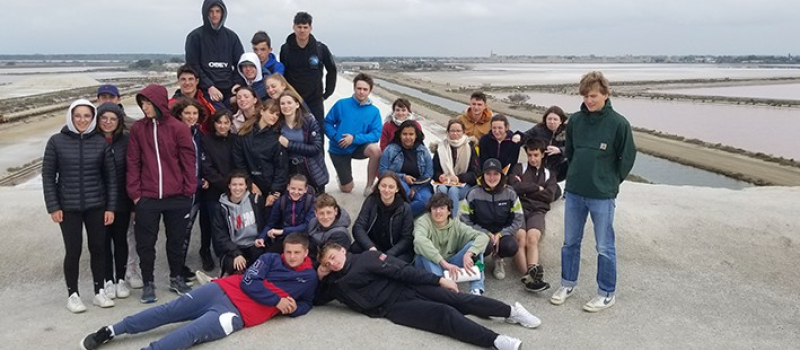 La Camargue explorée par les élèves de Beaulieu