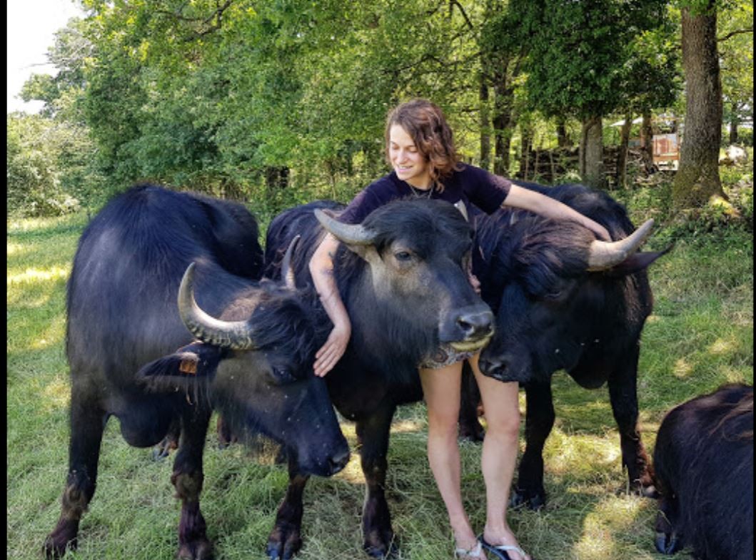 l bufala ferme 20.JPG