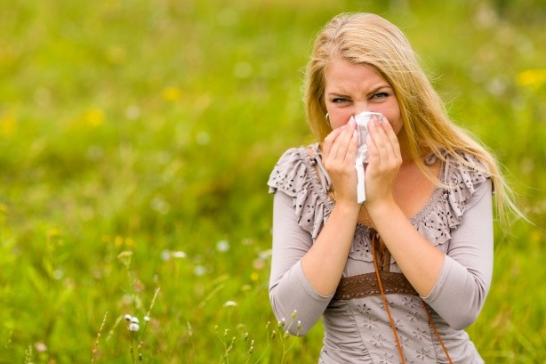 allergies pollens