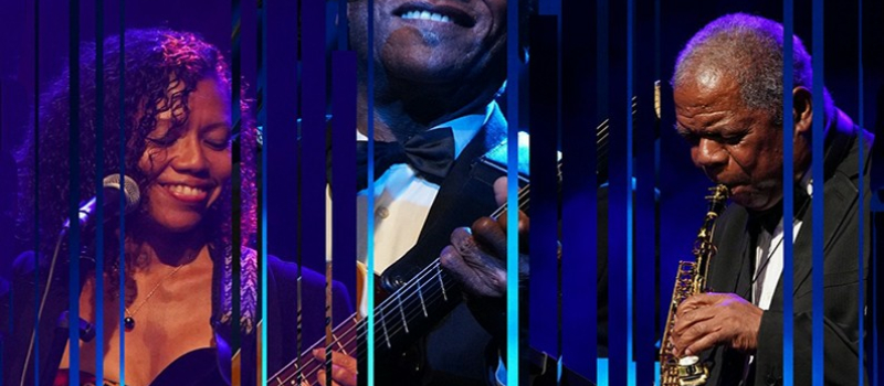 Festival notes blues lectoure