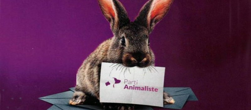 Le parti animaliste en lice