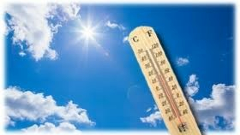 Plan canicule