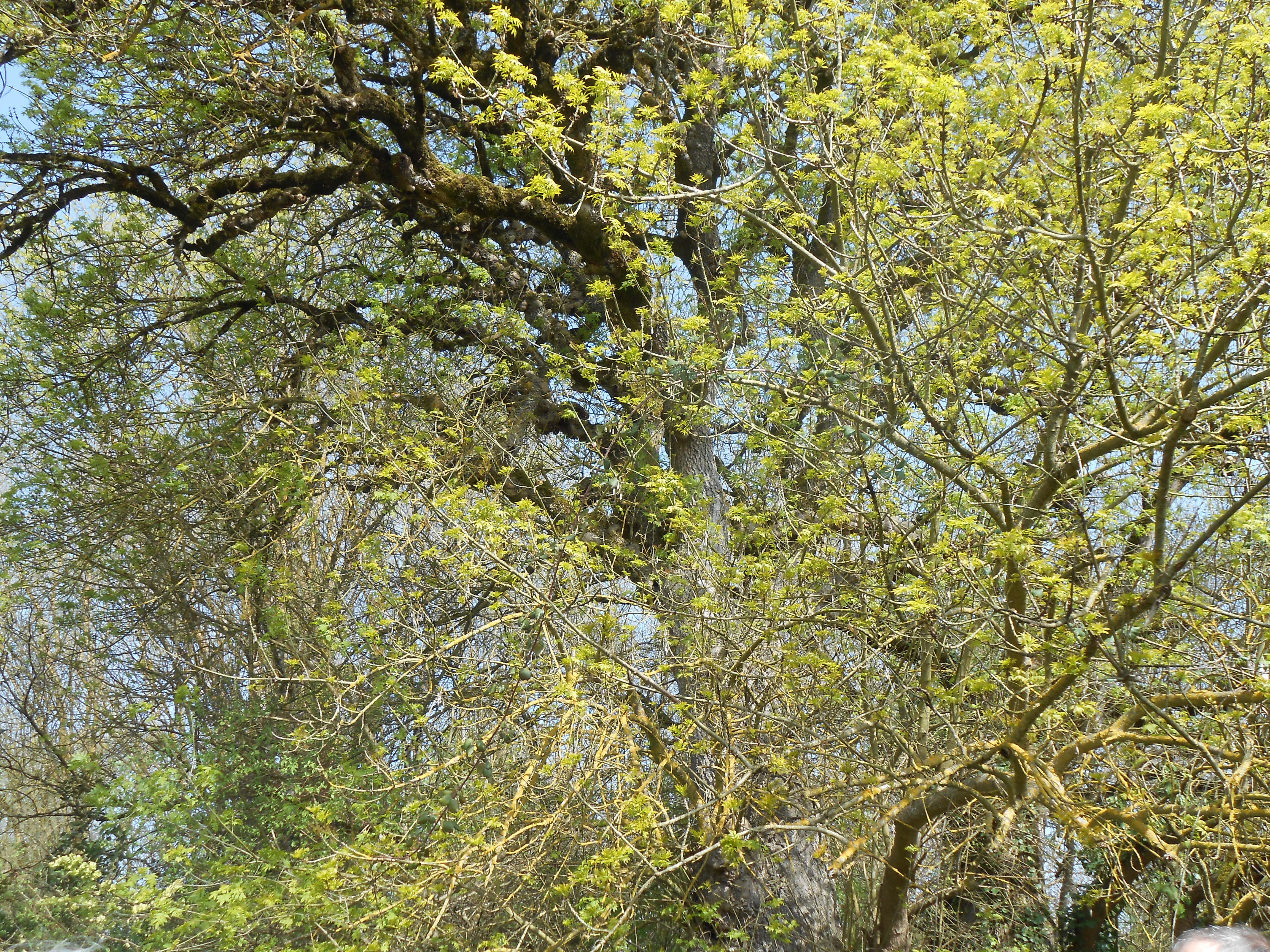 DSCN2198.JPG