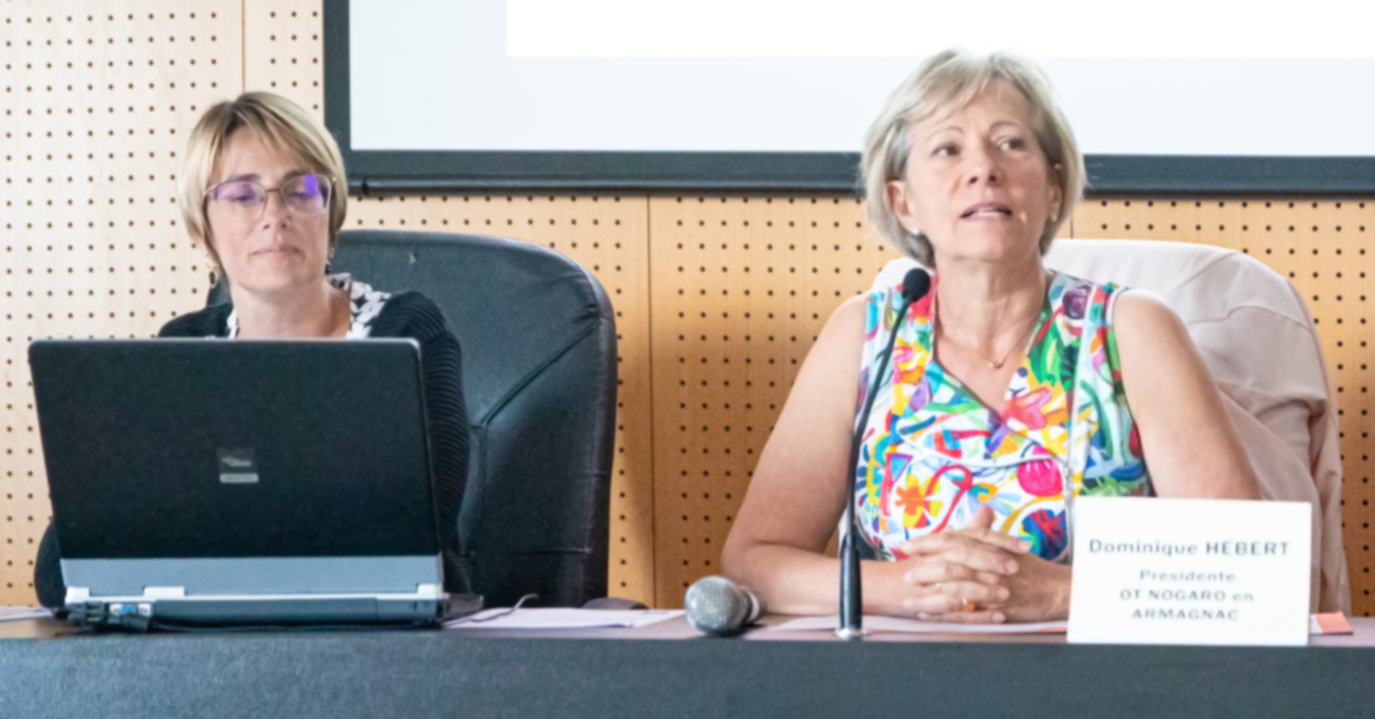 0 Hélène Nasarre et Dominique Hébert 1bis 070622.jpg