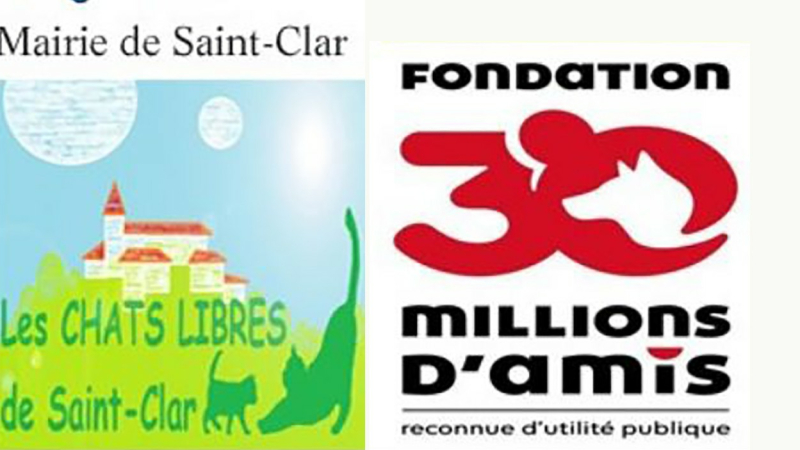 Avis  : capture de chats errants à Saint-Clar