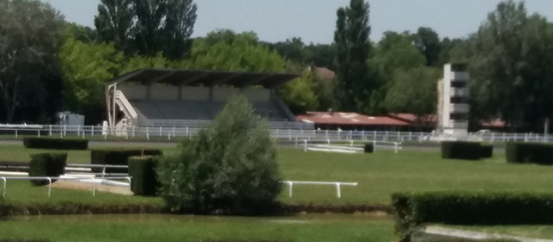 Les belles courses hippiques