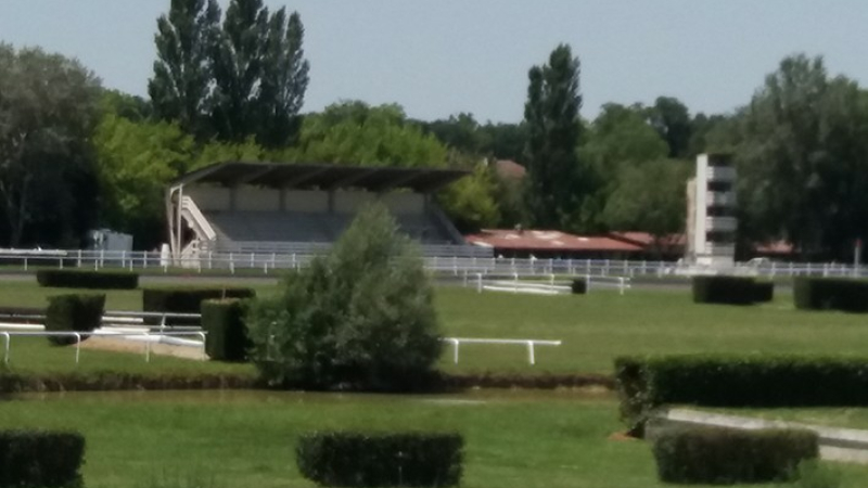 Les belles courses hippiques