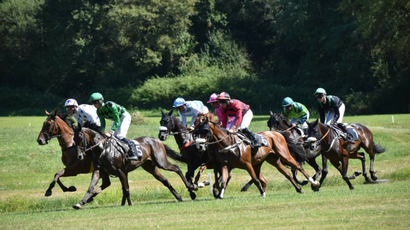 Courses de chevaux et repas
