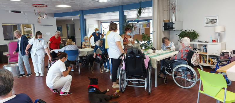 Quand les protégés de Lilie 4 pattes § compagnie  s'invitent à l'EHPAD de Vic-Fezensac...
