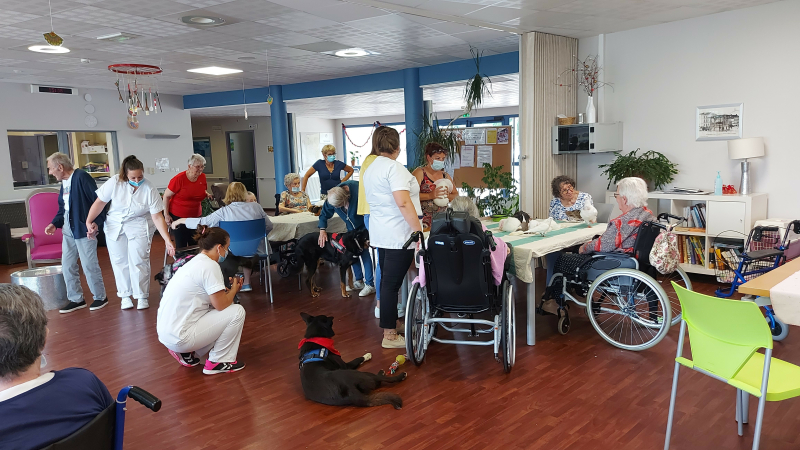 Quand les protégés de Lilie 4 pattes § compagnie  s'invitent à l'EHPAD de Vic-Fezensac...