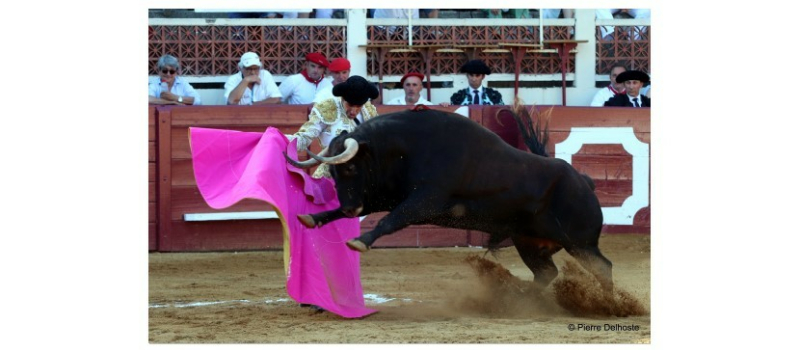Feria d'Eauze : trois oreilles mais pas le grand spectacle espéré...