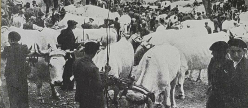 Foire de la Madeleine du 21 juillet 1944