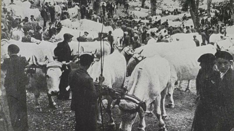 Foire de la Madeleine du 21 juillet 1944